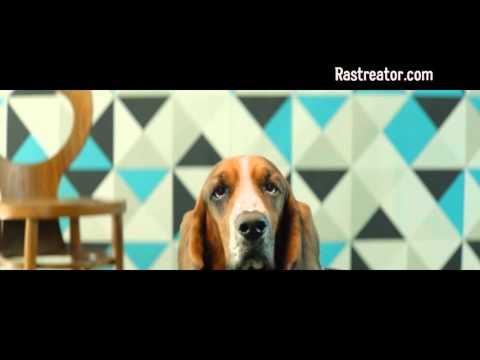 Guau - Rastreator.com