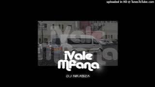iVale Mfana - Dj Nkabza