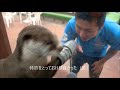【カワウソ】こうして穴を増やしました(^^)/ (伊勢シーパラダイス/水族館)