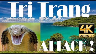 ⛱️THAILAND* PHUKET* TRI TRANG BEACH 4K - incl.SNAKE ATTACK !   | Phuket | Thailand | 🚤⛱🏝 Drone⛱️