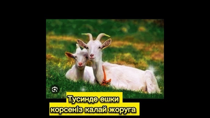 Үлкен есектері бар қара әйелдер жетілген ауыл абыздары