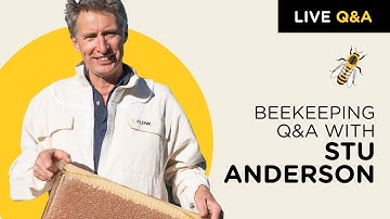 Beekeeping Q & A with Stu Anderson