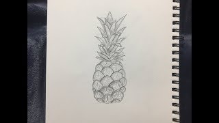 pineapple sketch tutorial/draw with me