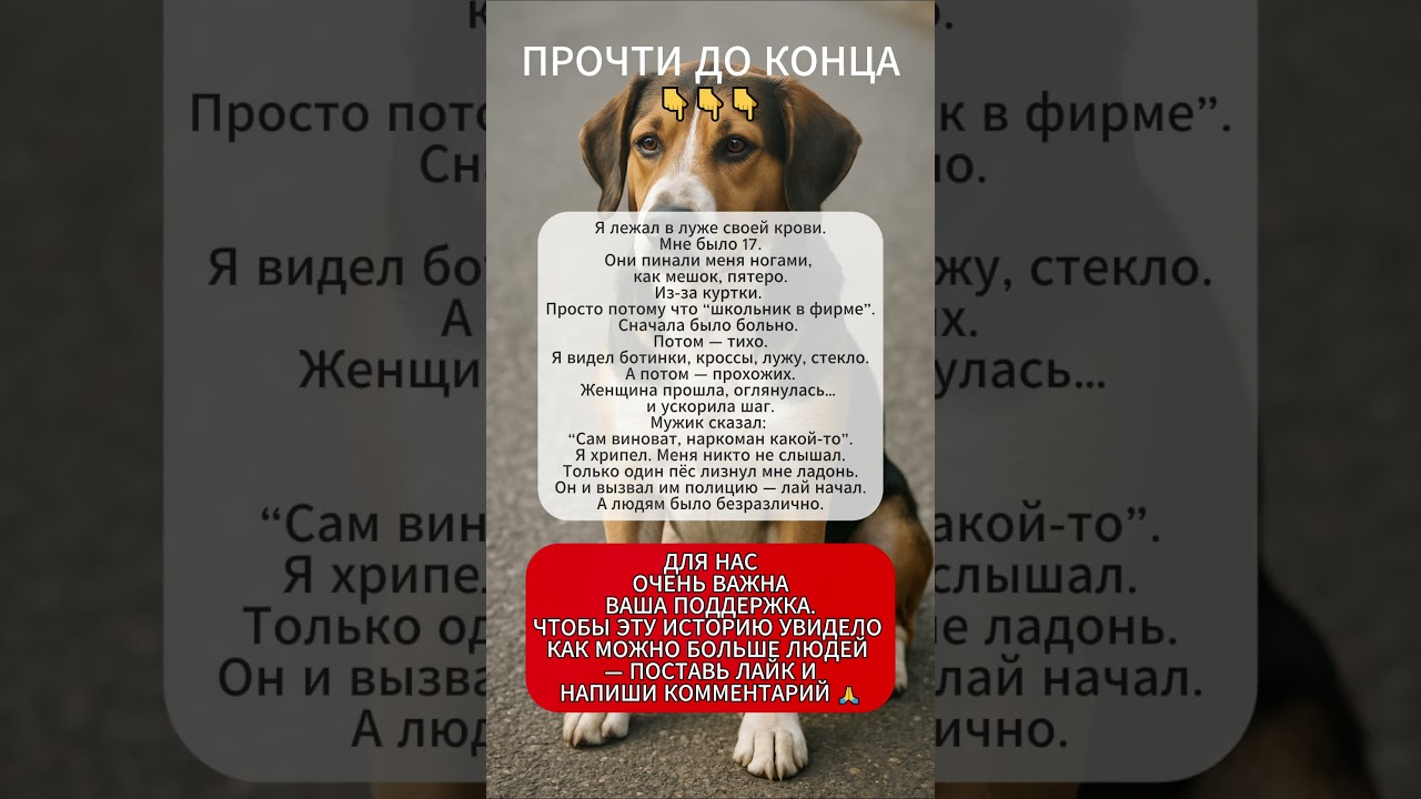 💥НИКТО НЕ ПОДОШЁЛ...🩸 