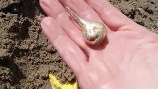 Found Pacific Gold - Gave it Back, Beach Metal Detecting in Cannon Beach, Oregon