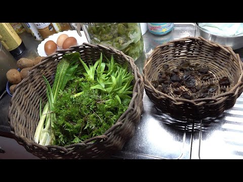 害虫と病気