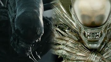 PROTOMORPH VS XENOMORPH COMPARISON ANALYSIS BREAKDOWN