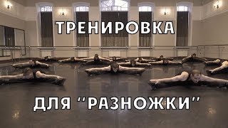 Силовая тренировка для 