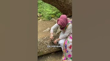 Chiếc cây bí ẩn bị ghim đầy tiền xu suốt nhiều năm nay... nghe xong lý do sẽ khiến bạn bất ngờ!