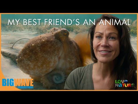 A mother octopus