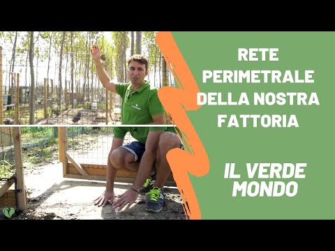 Video: Come fabbricare un pollaio di pollo a prova di predatore