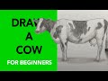 Draw a cow for beginners