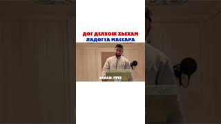 дог делхош хьехам....