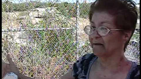 DORA RODRIGUEZ REMEMBERS THAT FATEFUL DAY LIKE IT ...