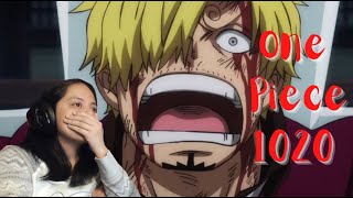 I Did Not Expect That At All!!! One Piece EP 1020 Reaction