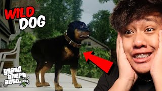 Surprising My Friend With a Wild Dog.