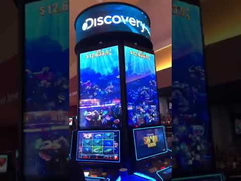 Morongo Casino Resort Pool