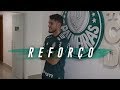 ESTRUTURA DO PALMEIRAS IMPRESSIONA NICO FREIRE!