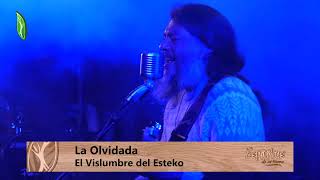 Video voorbeeld van "Vislumbre del Esteko - La Olvidada - Tafí Viejo 11/06/22"