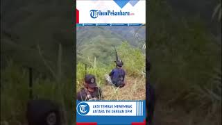 Kembali Terjadi Aksi Tembak Menembak Antara TNI dengan OPM di Distrik Kiwirok Papua