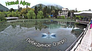 Приморский парк. Лебединое озеро. Абхазия/Новый Афон!
