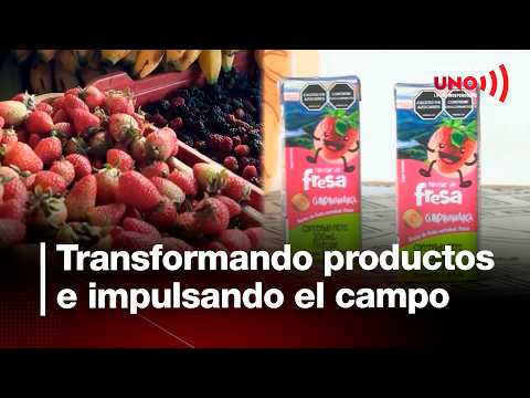 Governor's Office bets on transforming agricultural products | Noticias UNO