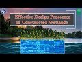 Effective Design Processes of Constructed Wetlands #trending #wetland #stp #wastewater Mp3 Song