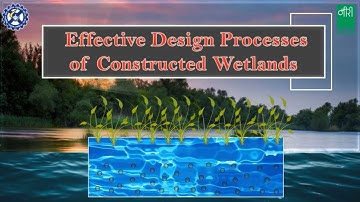 Effective Design Processes of Constructed Wetlands #trending #wetland #stp #wastewater