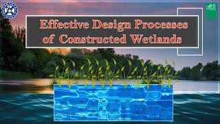 Effective Design Processes of Constructed Wetlands