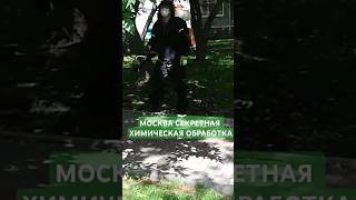 #МОСКВА #СЕКРЕТНАЯ #ХИМИЧЕСКАЯ #ОБРАБОТКА #жилых #ДВОРОВ