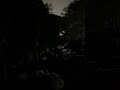 회룡천 새벽 물소리 - 20241027 회룡사 방향