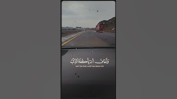 #الشيخ_سيد_سعيد رحمه الله #سورة_يوسف #القران #المصحف #قرآن_كريم