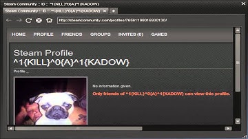 How to Report MW2 Hackers on PC (Steam)