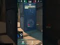 Amazing start