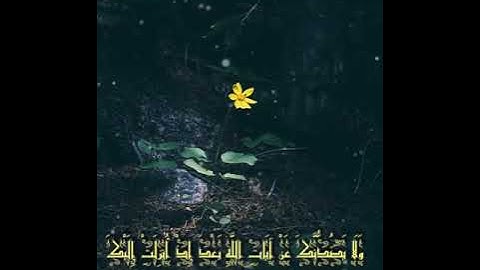 من اجمل التلاوات للقارئ عبدالرحمن مسعد(ان الذي فرض عليك القرآن)(مكرررة🔄)