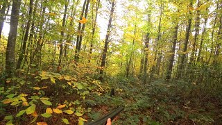 Kanat Sesi̇ne Bayildim. Amor Mi̇o Beccacci̇a Ki̇ra Çulluk Avlari