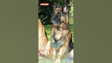 #watch | Prince Charles