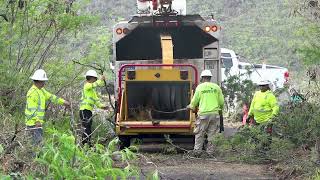 Creating an East Oahu Firebreak