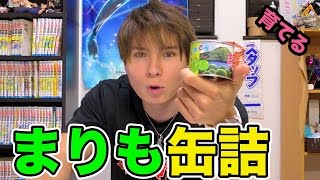 まりも缶詰を育てる!!【巨大化計画】　PDS