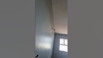 Manzuma Ajaiba 