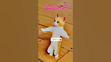 اغنية انا احب محمد ومحمد يحبني 