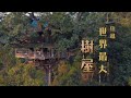 鏡食旅》住進世界最大樹屋　寮國雨林探險