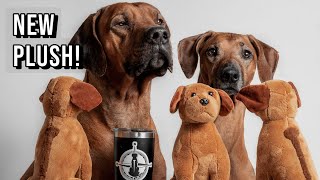 Rhodesian Ridgeback Plush and 2020 Review by Marking Our Territory 19,848 views 3 years ago 10 minutes, 3 seconds