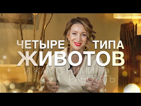 ТИПЫ ЖИВОТА