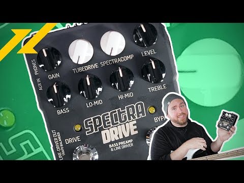 TC ELECTRONIC Spectra Drive Bass Preamp Review | GEAR GODS