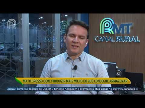 Mato Grosso deve produzir mais milho do que consegue armazenar | Canal Rural