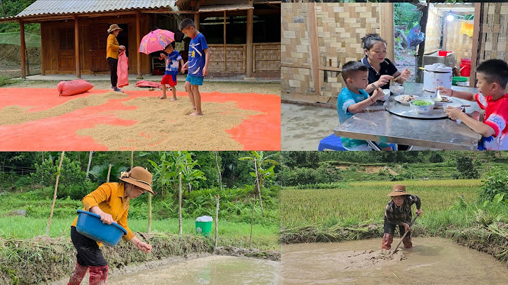 land preparation and sowing of new rice crop in 2025 .DANG THI DU