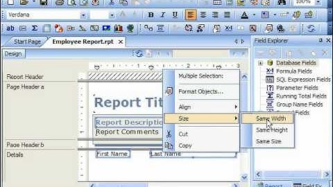 Crystal Reports Tutorial Using the Size & Align Commands Business Objects Training Lesson 3.4