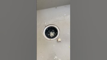 FOOD WASTE DISPOSAL #asmr#shortvideo