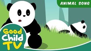 Kids Song - The Rolling Pandas | Animal Songs